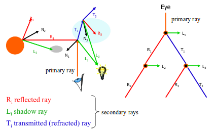 A Diagram depicting types of rays